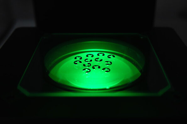 Detalle de máquina de medición instantánea por visión Baty Venture FV