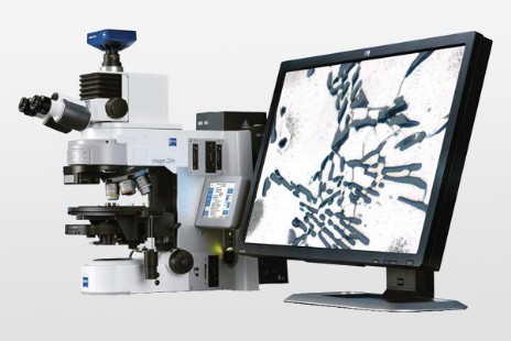 Microscopios, cámaras digitales y análisis de imagen